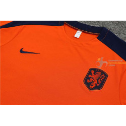 Camiseta y Pantalón Niños Holanda Entrenamiento Naranja 2024-2025