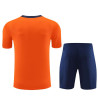 Camiseta y Pantalón Holanda Entrenamiento Naranja 2024-2025