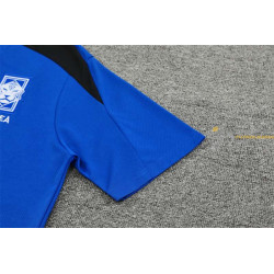 Camiseta y Pantalón Niños Corea del Sur Entrenamiento Azul 2024-2025