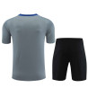 Camiseta y Pantalón Niños Inter Milán Entrenamiento Gris 2024-2025