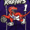 Camiseta NBA Tracy McGrady de los Toronto Raptors Púrpura