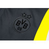 Chándal Borussia Dortmund Gris 2023-2024