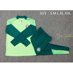 Chándal Palmeiras Verde Claro 2024-2025