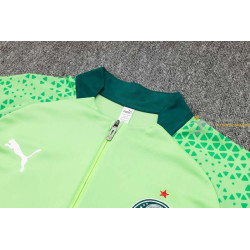 Chándal Palmeiras Verde Claro 2024-2025