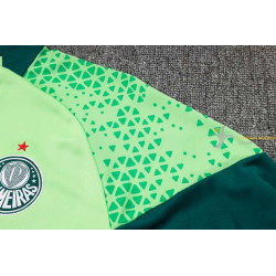 Chándal Palmeiras Verde Claro 2024-2025
