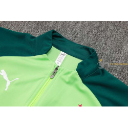 Chándal Palmeiras Verde 2024-2025