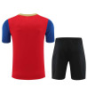 Camiseta y Pantalón Niños Barcelona Rojo Entrenamiento 2024-2025