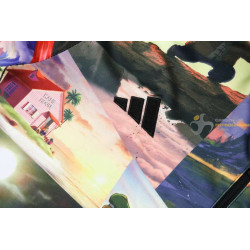 Chándal Niños Japón Dragon Ball Full Color 2024-2025