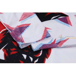 Chándal Niños Japón Dragon Ball Blanco 2024-2025