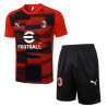 Camiseta y Pantalón AC Milan Entrenamiento 2024-2025