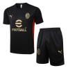 Camiseta y Pantalón AC Milan Entrenamiento Negro 2024-2025