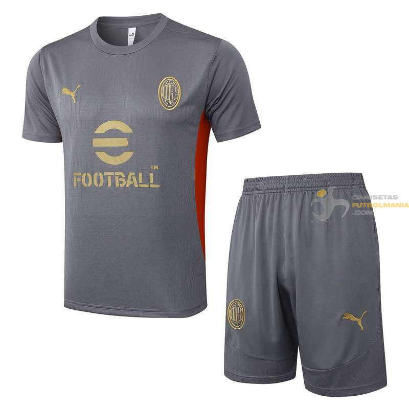 Camiseta y Pantalón AC Milan Entrenamiento Gris 2024-2025