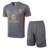 Camiseta y Pantalón AC Milan Entrenamiento Gris 2024-2025