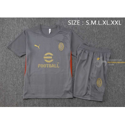 Camiseta y Pantalón AC Milan Entrenamiento Gris 2024-2025