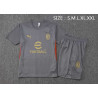 Camiseta y Pantalón AC Milan Entrenamiento Gris 2024-2025