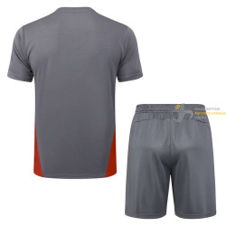 Camiseta y Pantalón AC Milan Entrenamiento Gris 2024-2025