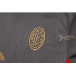 Camiseta y Pantalón AC Milan Entrenamiento Gris 2024-2025