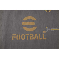 Camiseta y Pantalón AC Milan Entrenamiento Gris 2024-2025