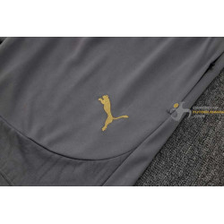 Camiseta y Pantalón AC Milan Entrenamiento Gris 2024-2025