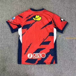 Camiseta Fútbol Kashima Antlers Primera Equipación 2025