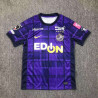 Camiseta Fútbol Sanfrecce Hiroshima Primera Equipación 2025