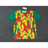 Camiseta Fútbol Senegal Entrenamiento 2024-2025
