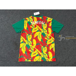 Camiseta Fútbol Senegal Entrenamiento 2024-2025