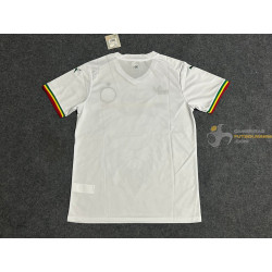 Camiseta Fútbol Senegal Edición Especial 2024-2025