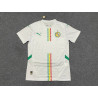 Camiseta Fútbol Senegal Primera Equipación 2024-2025