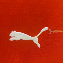 Camiseta Fútbol Portugal Primera Equipación Manga Larga 2025-2026