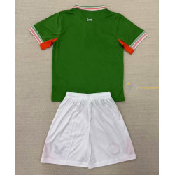Camiseta Fútbol Irlanda Primera Equipación 2025