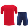 Camiseta y Pantalón Niños Paris Saint-Germain Entrenamiento Rojo 2025