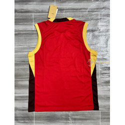 Camiseta Sin Mangas China Primera Equipación 2025-2026