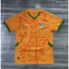 Camiseta Fútbol Costa de Marfil Edición Especial 2025-2026