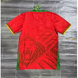 Camiseta Fútbol Camerún Segunda Equipación 2025-2026
