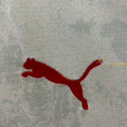 Camiseta Fútbol Salzburg Primera Equipación 2025-2026