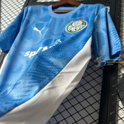 Camiseta Fútbol Palmeiras Portero Primera Equipación 2025-2026