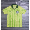 Camiseta Fútbol Palmeiras Edición Especial 2025-2026