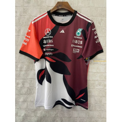 Camiseta F1 Mercedes Racing...