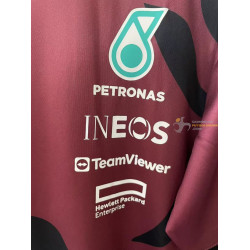 Camiseta F1 Mercedes Racing Team Tricolor 2025