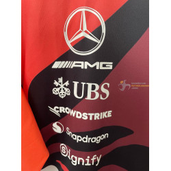 Camiseta F1 Mercedes Racing Team Tricolor 2025