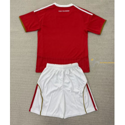 Camiseta y Pantalón Niños Al Ahly Primera Equipación 2025-2026