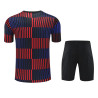 Camiseta y Pantalón Barcelona Entrenamiento Bicolor 2025-2026