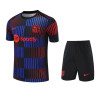 Camiseta y Pantalón Barcelona Entrenamiento Bicolor 2025-2026