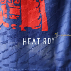 Camiseta Fútbol Ajax Edición Especial Bob Marley Azul Versión Jugador 2025-2026