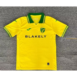 Camiseta Fútbol Norwich...