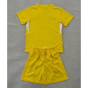 Camiseta y Pantalón Fútbol Niños Chelsea Portero Amarilla 2025-2026