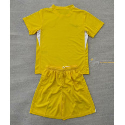 Camiseta Fútbol Chelsea Portero Amarilla 2025-2026