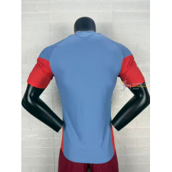 Camiseta Fútbol Japón Segunda Equipación Versión Jugador 2026