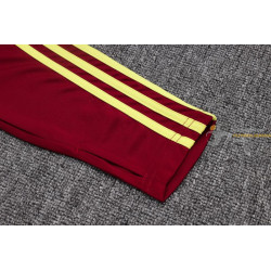 Chándal Arsenal Granate Z 2025-2026